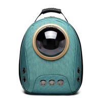 Space Counter Transparent Pet Backpack Outdoor Portable Cat Bun