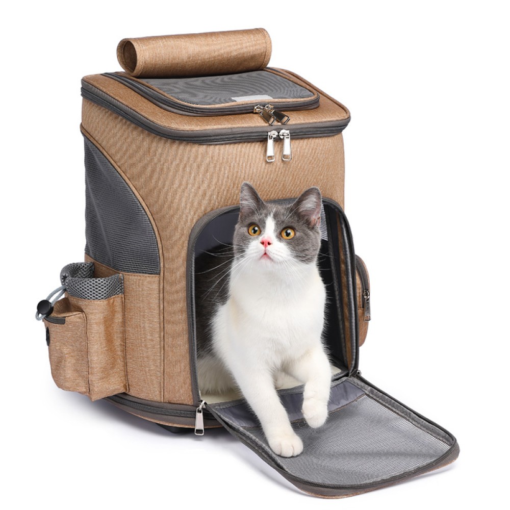 Cat bag pet lever box out Portable backpack can fold and breathable cat backpack
